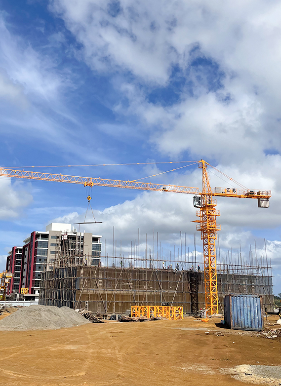 Project QTZ50(5010) Tower Crane in Mauritius 